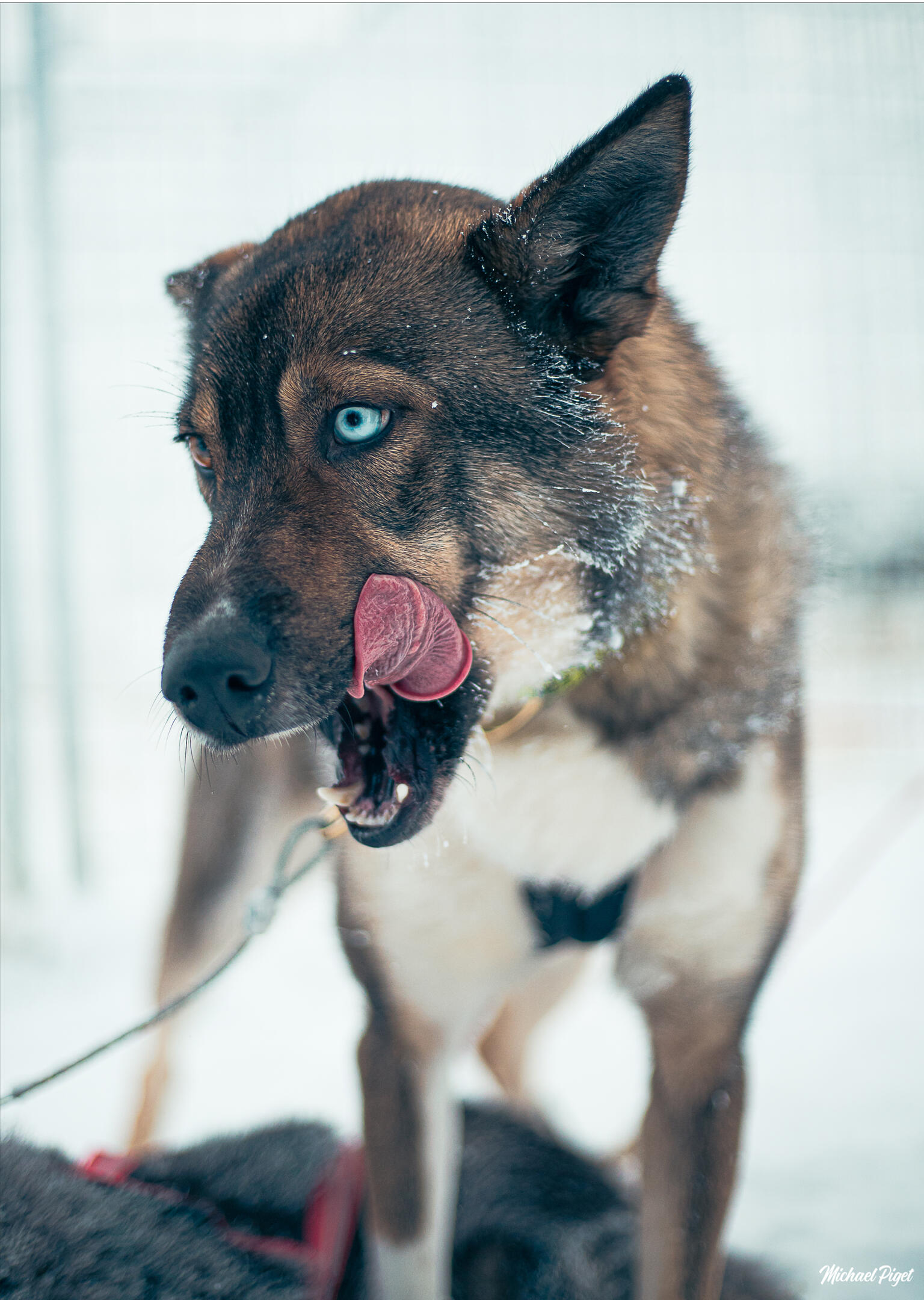 michael piget photographies, villandry, indre-et-loire, 37510, savonnières, ballan-miré, langeais, mode, nature, portrait, concert, mariage, famille, tours métropole, noir et blanc, finlande
