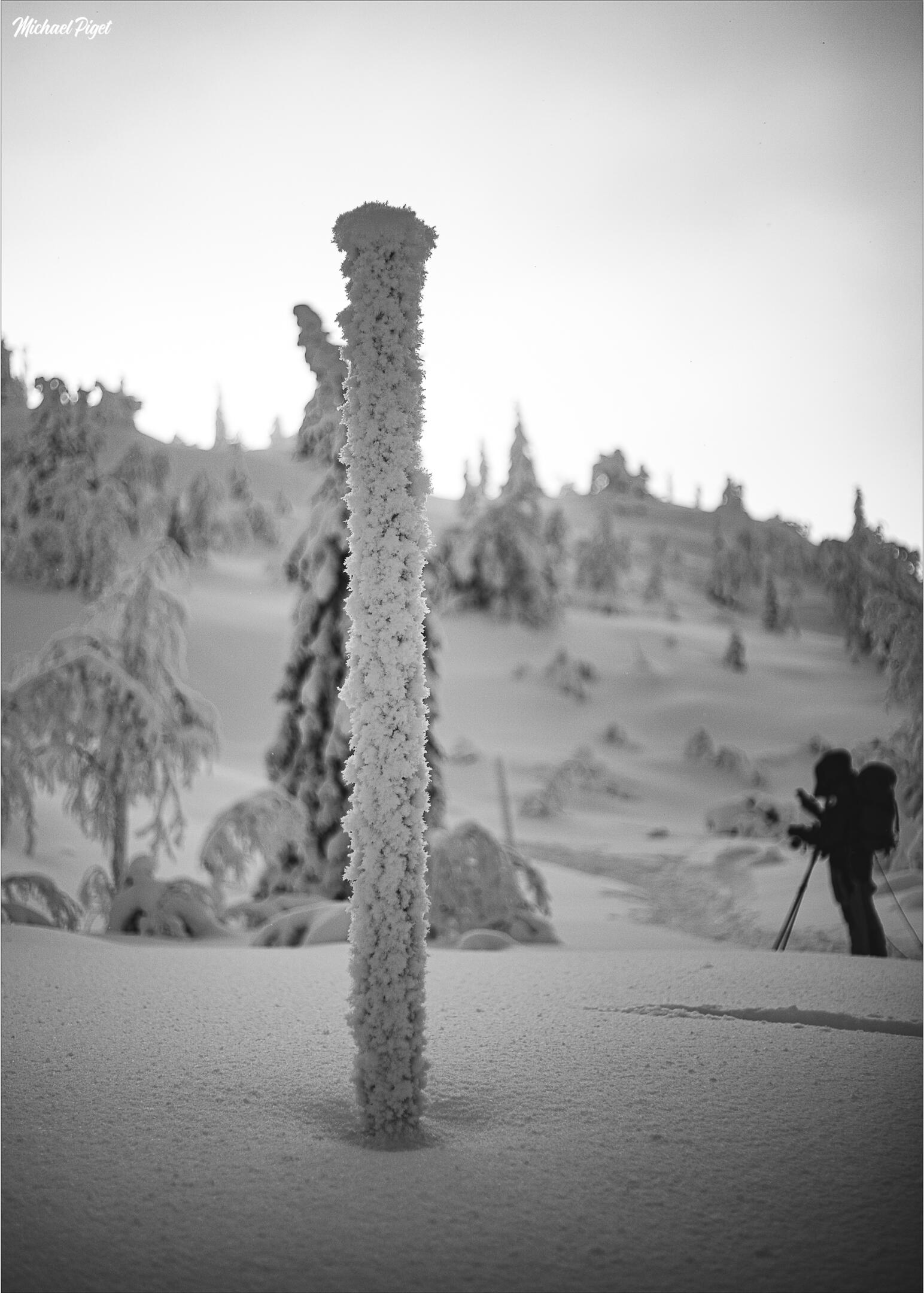 michael piget photographies, villandry, indre-et-loire, 37510, savonnières, ballan-miré, langeais, mode, nature, portrait, concert, mariage, famille, tours métropole, noir et blanc, finlande
